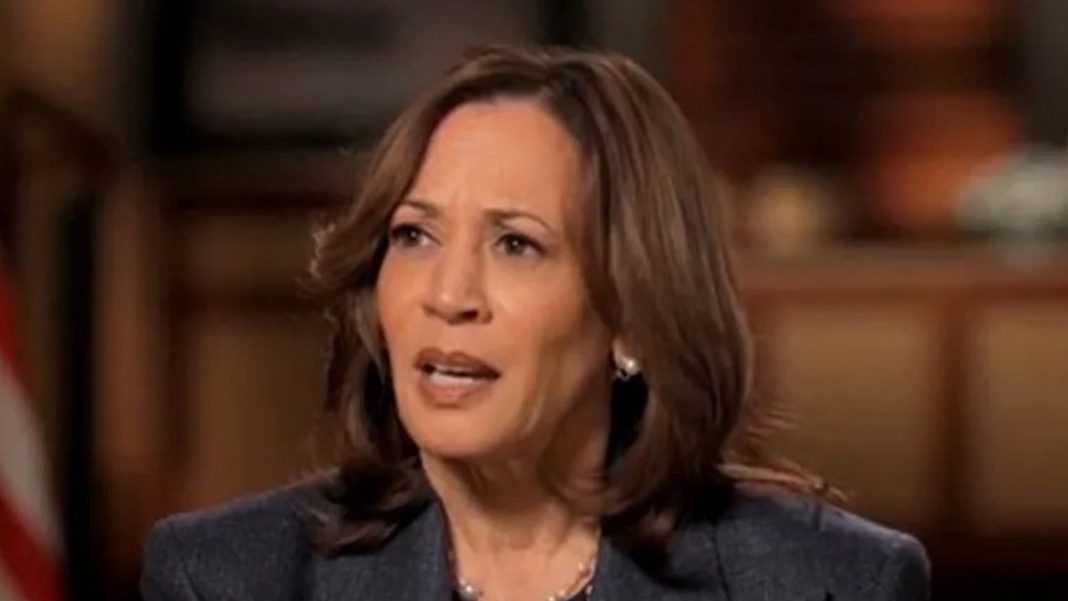 'Ineffective' Kamala Harris failed to show she's different to Joe Biden despite high-profile interviews, says strategist