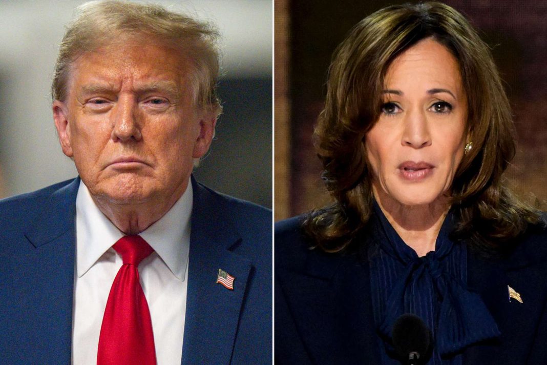 Donald Trump Calls Kamala Harris the R-Word at Donor Dinner: Report