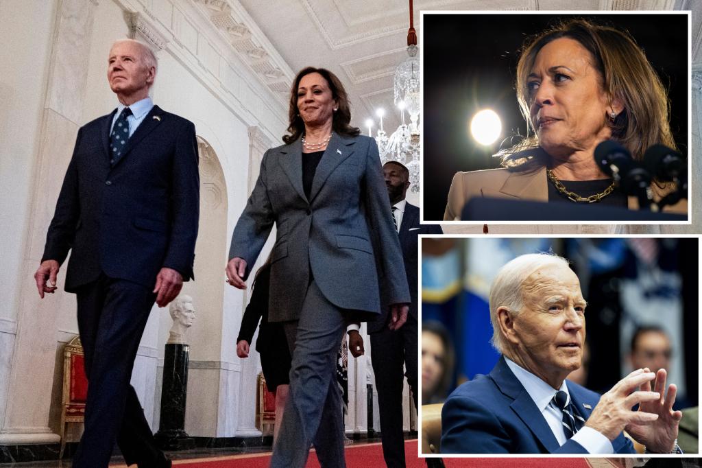 Biden sabotaging Kamala Harris' presidential campaign after being forced to drop re-election bid, pundits say